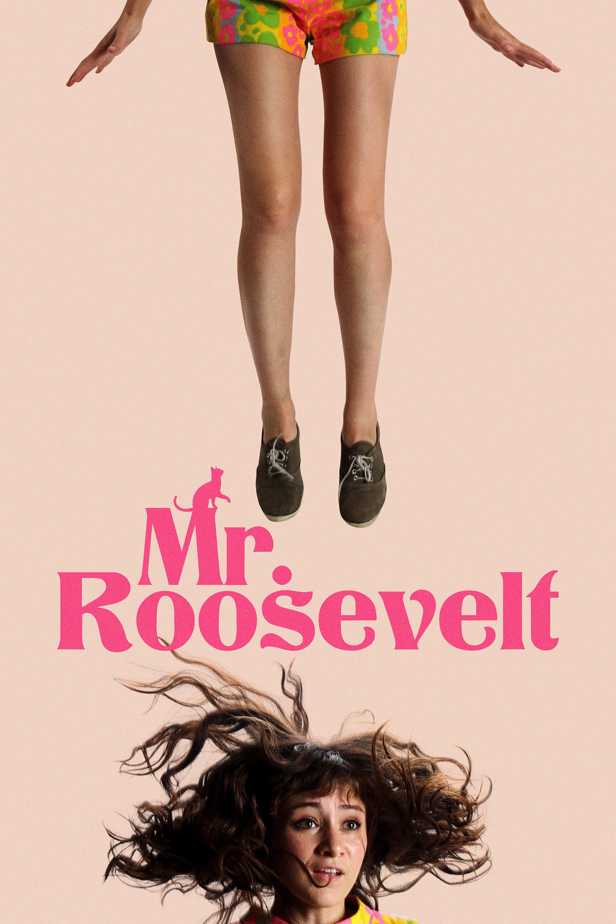 постер Mr. Roosevelt